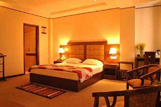 TG Stays Golf Course Road DLF Phase IV, Gurgaon 4